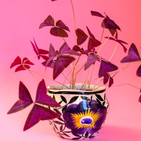 Petite céramique allemande Schramberg