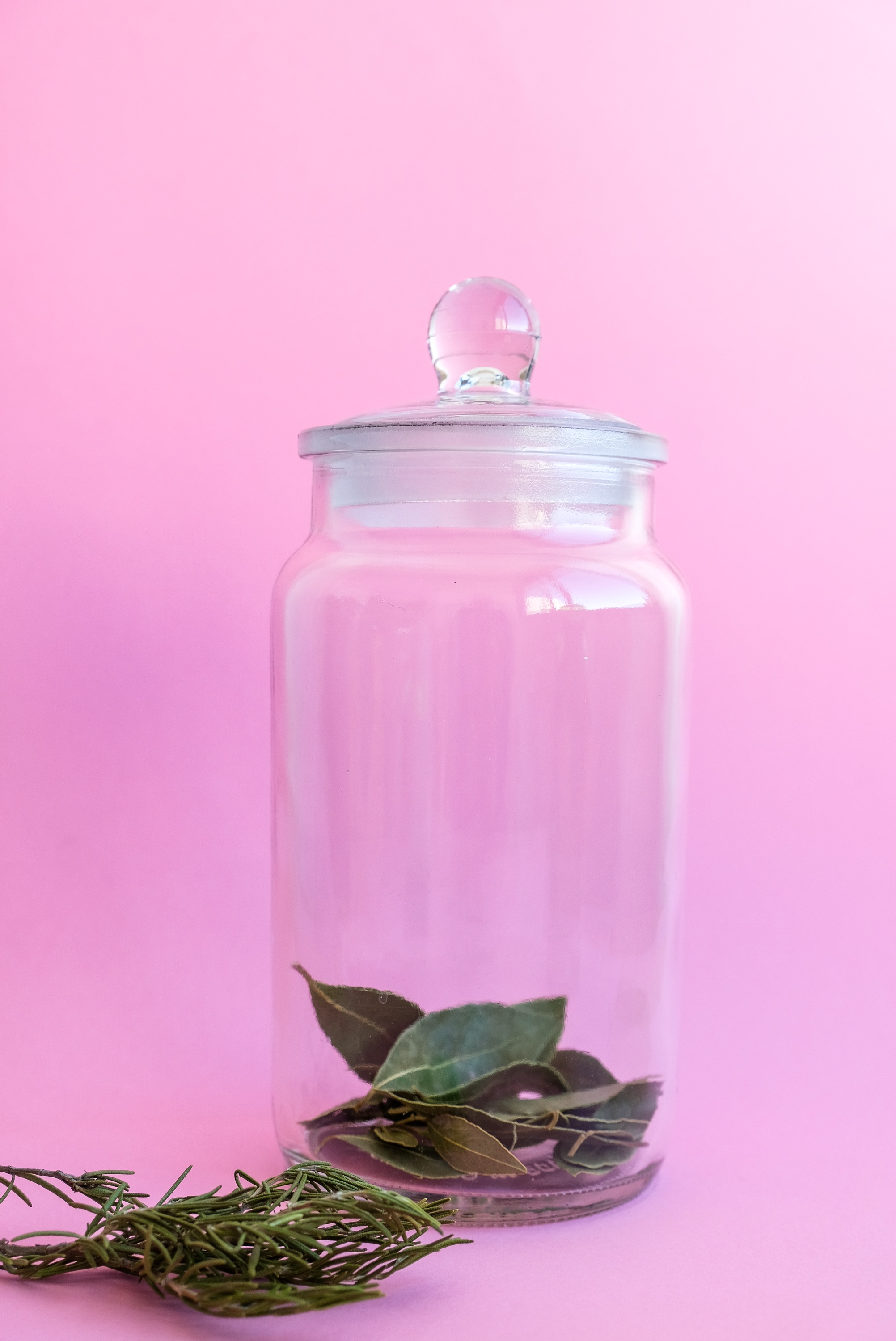 Bocaux en verre – Image 4